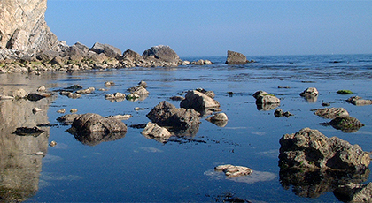 Dorset & Somerset