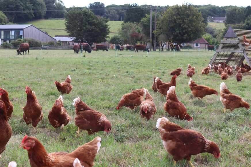 Leafield House Nables Farm